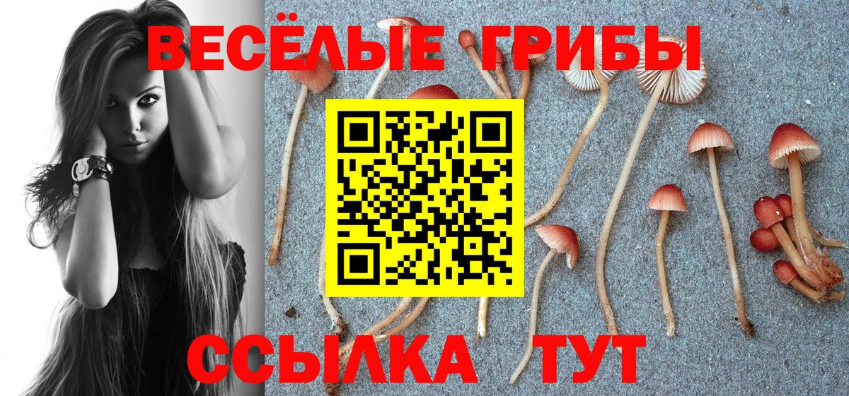 Галлюциногенные грибы Cubensis Трёхгорный